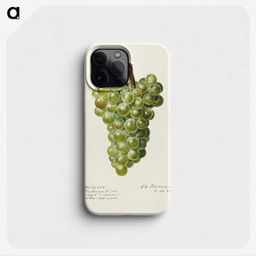 3-41_USDA-Watercolor-Fruit-Painting-Collection_phone