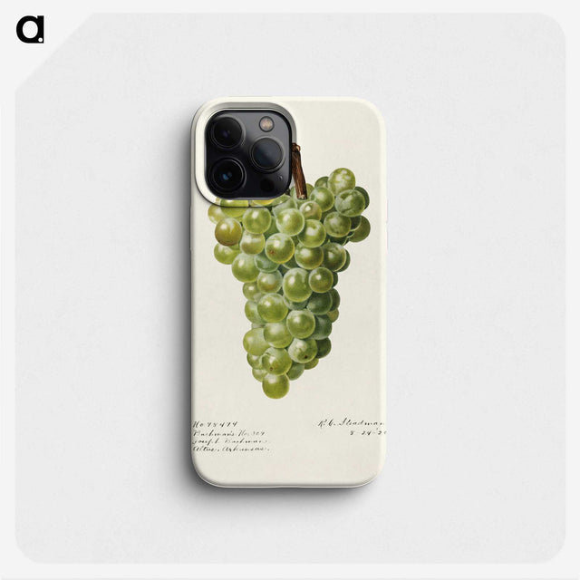 3-41_USDA-Watercolor-Fruit-Painting-Collection_phone