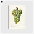 3-41_USDA-Watercolor-Fruit-Painting-Collection_postcard
