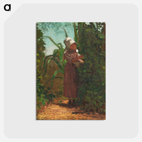 アートポストカード-The Bean Picker - ウィンスロー ホーマー Postcard.