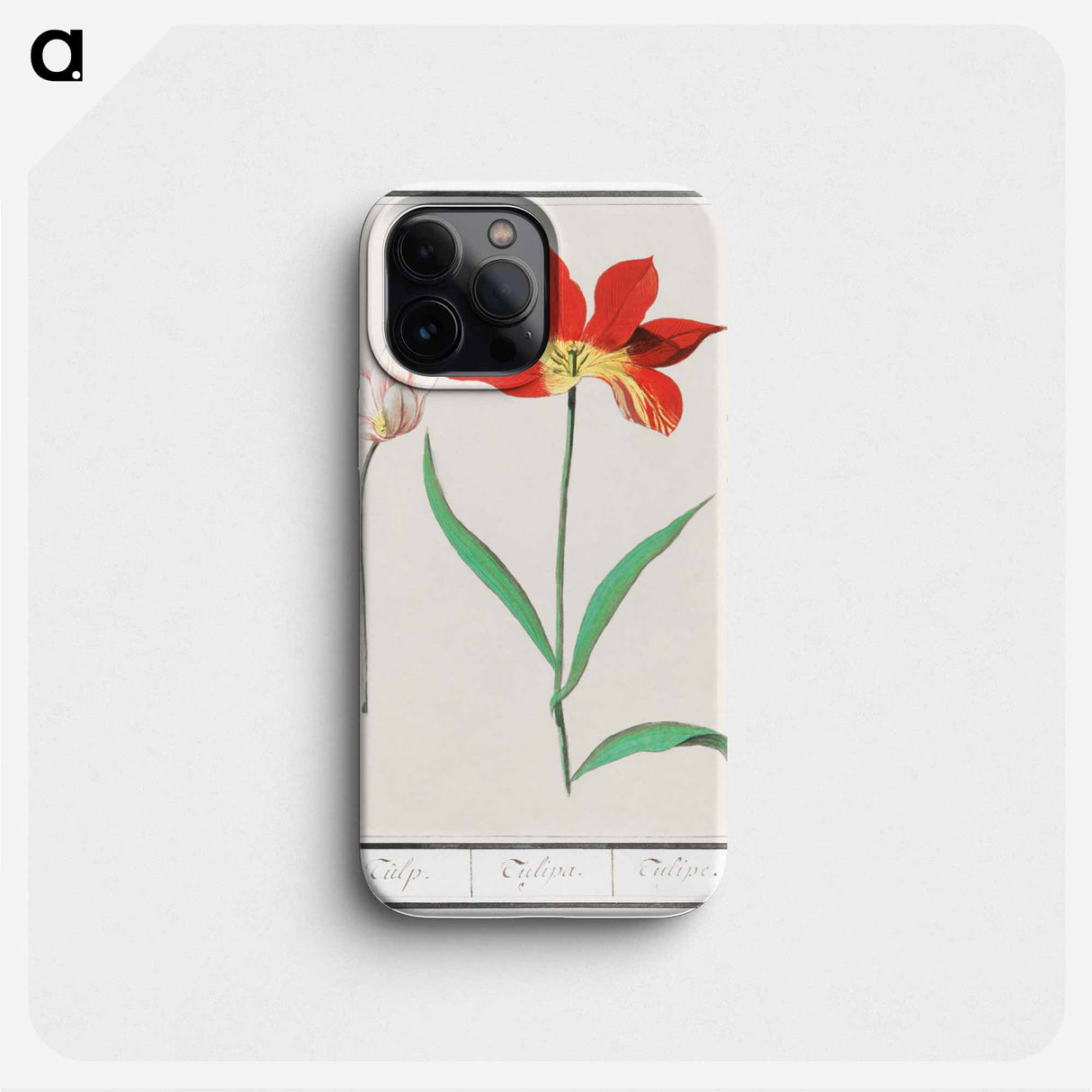 Tulip - アンセルムス ボエティウス デ ブート Phone Case.
