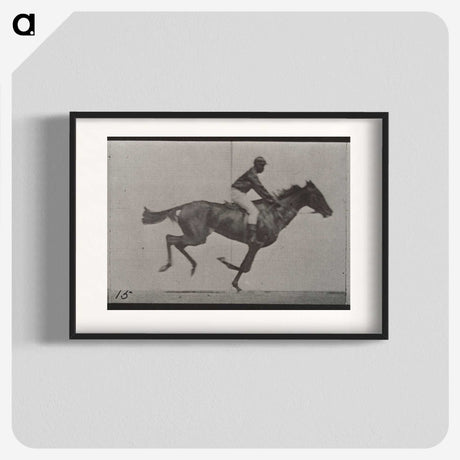 3-42_Eadweard-Muybridge_blk