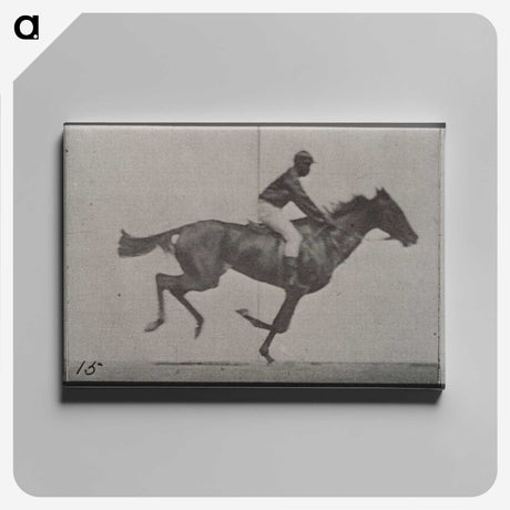 3-42_Eadweard-Muybridge_canvas