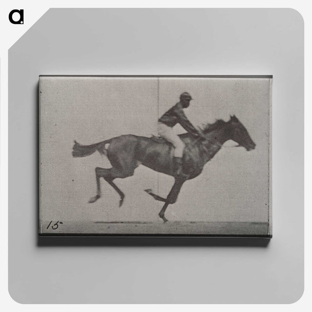 3-42_Eadweard-Muybridge_canvas