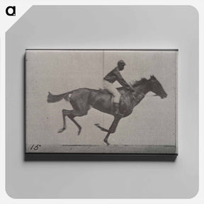 アートパネル-Galloping Horse and Rider
 - エドワード マイブリッジ Canvas.