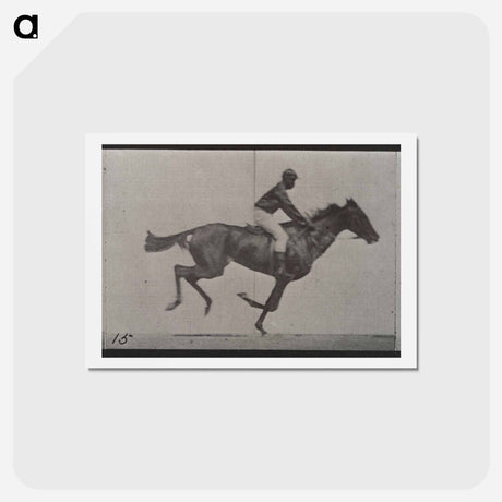 アートポストカード-Galloping Horse and Rider
 - エドワード マイブリッジ Postcard.