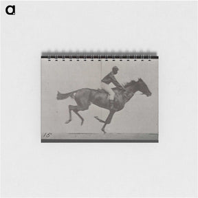 3-42_Eadweard-Muybridge_memo