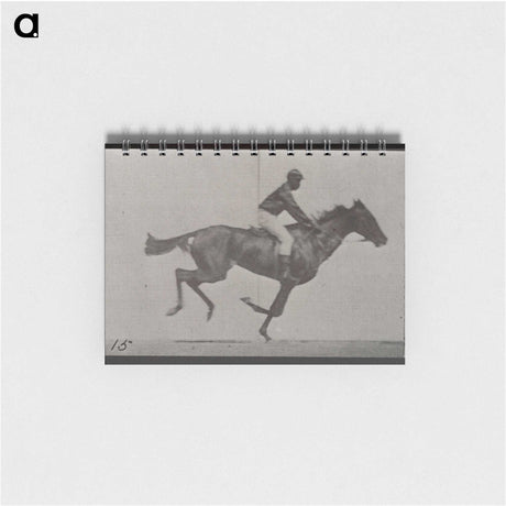 3-42_Eadweard-Muybridge_memo