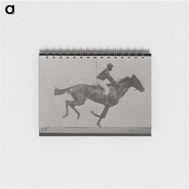 3-42_Eadweard-Muybridge_memo