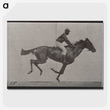 3-42_Eadweard-Muybridge_picture-crop