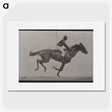 3-42_Eadweard-Muybridge_picture