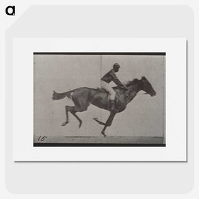 3-42_Eadweard-Muybridge_picture