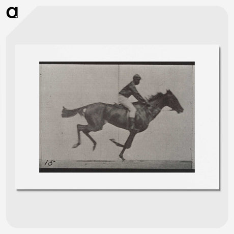3-42_Eadweard-Muybridge_picture