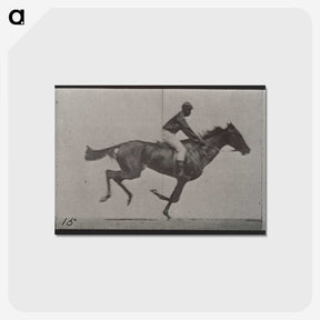 3-42_Eadweard-Muybridge_postcard