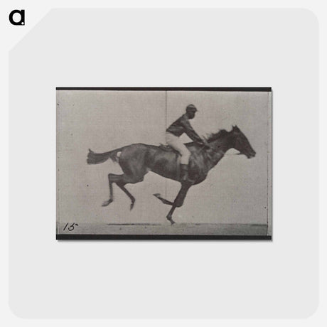 アートポストカード-Galloping Horse and Rider
 - エドワード マイブリッジ Postcard.
