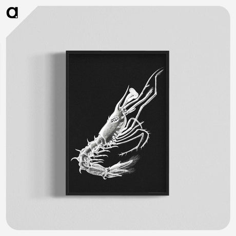 3-42_Ernst-Haeckel_blk-crop