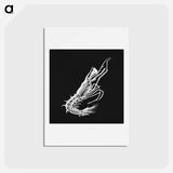 アートポストカード-Vintage prawn marine life illustration - エルンスト ヘッケル Postcard.