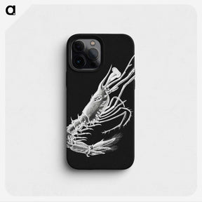 3-42_Ernst-Haeckel_phone