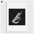 3-42_Ernst-Haeckel_picture