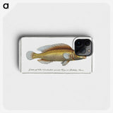 3-42_Ichtyologie-ou-Histoire-naturelle_phone
