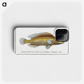 3-42_Ichtyologie-ou-Histoire-naturelle_phone