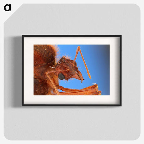 3-42_Insects-Unlocked-Project_blk