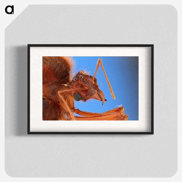 3-42_Insects-Unlocked-Project_blk