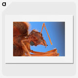 3-42_Insects-Unlocked-Project_picture