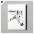 アートパネル-Head of a horse - ジャン ベルナール Canvas.