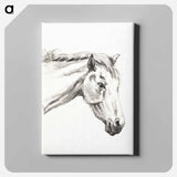 アートパネル-Head of a horse - ジャン ベルナール Canvas.