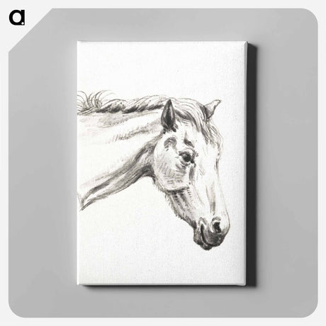 アートパネル-Head of a horse - ジャン ベルナール Canvas.