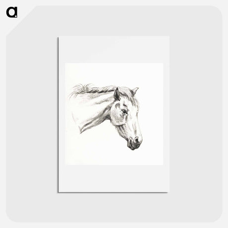 アートポストカード-Head of a horse - ジャン ベルナール Postcard.