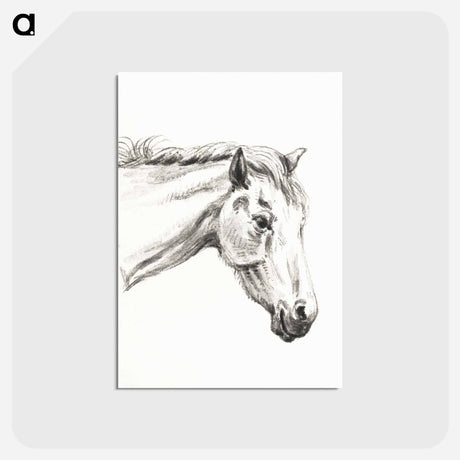 アートポストカード-Head of a horse - ジャン ベルナール Postcard.