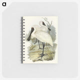 3-42_John-Gould_memo