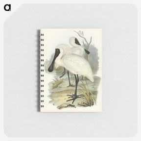 3-42_John-Gould_memo