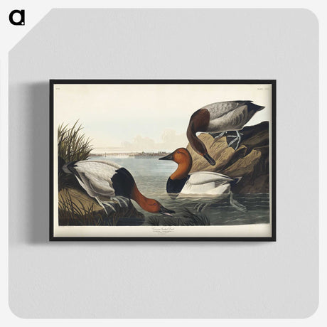 3-42_John-James-Audubon_blk-crop
