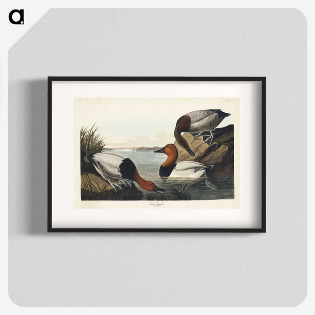3-42_John-James-Audubon_blk