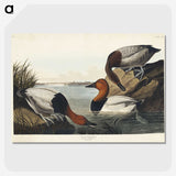 3-42_John-James-Audubon_picture-crop