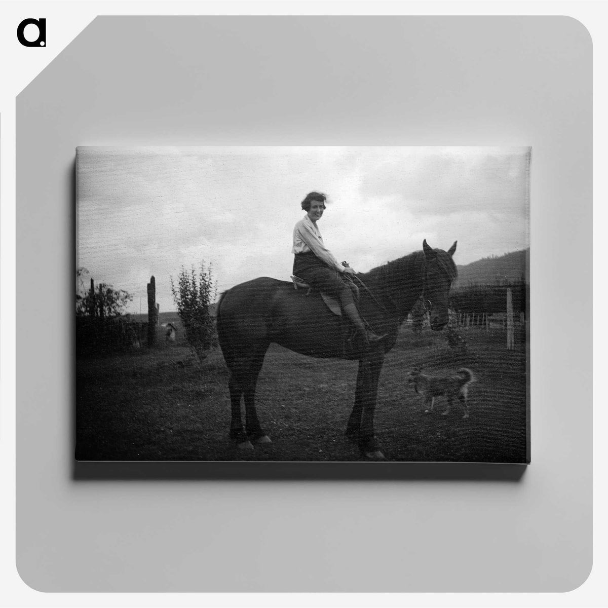 3-42_Leslie-Adkin_canvas