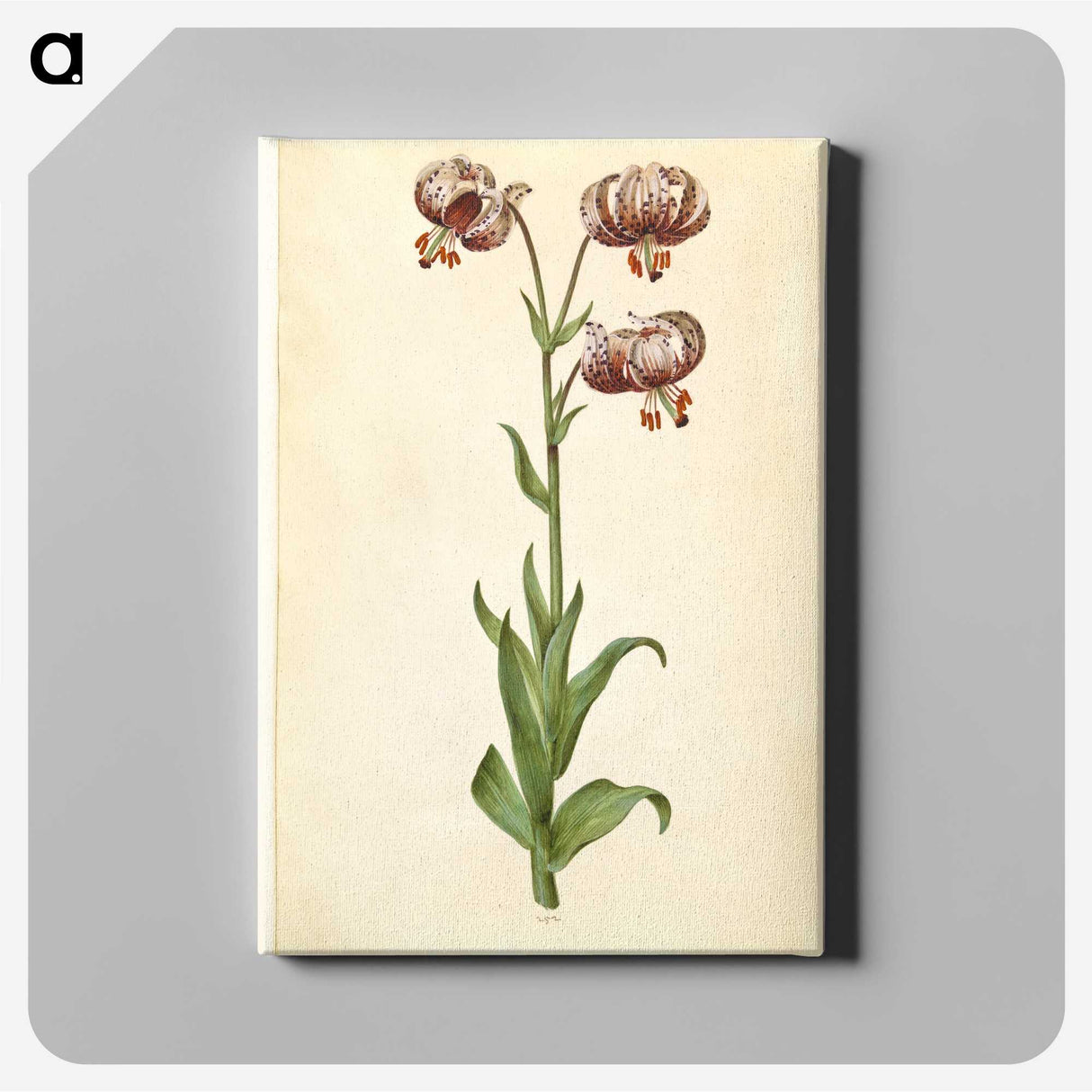3-42_Maria-Sibylla-Merian_canvas