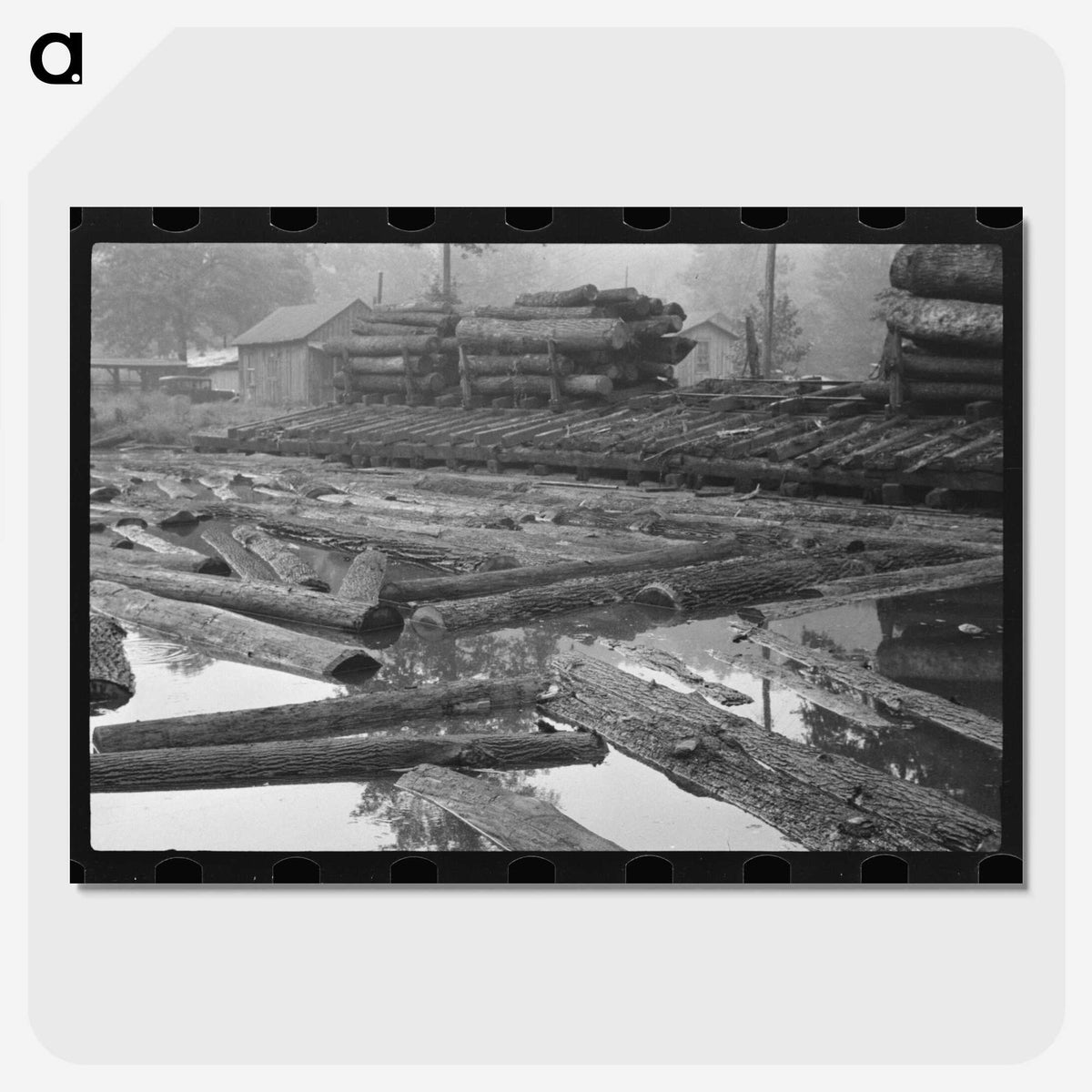 3-42_Marion-Post-Wolcott_picture-crop
