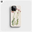 3-42_Mary-Vaux-Walcott_phone