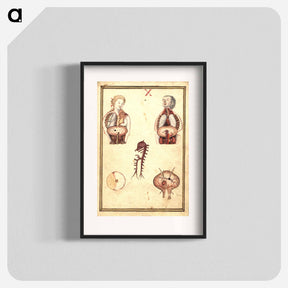 アートポスター-Anatomical Study of Flayed Chests
 - 国立医学図書館 Poster.