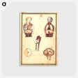 アートポストカード-Anatomical Study of Flayed Chests
 - 国立医学図書館 Postcard.