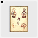 アートポストカード-Anatomical Study of Flayed Chests
 - 国立医学図書館 Postcard.