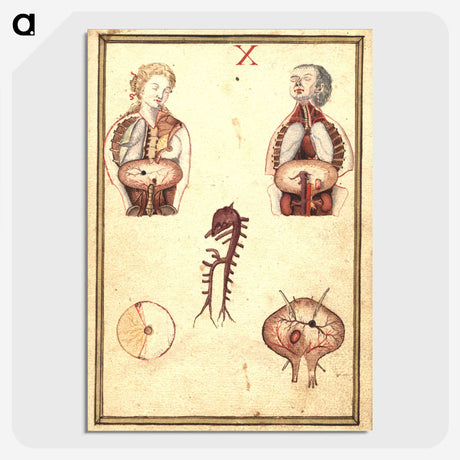 3-42_National-Library-of-Medicine_picture-crop