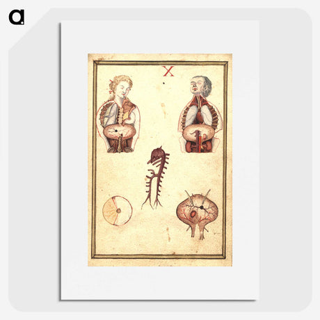 3-42_National-Library-of-Medicine_picture