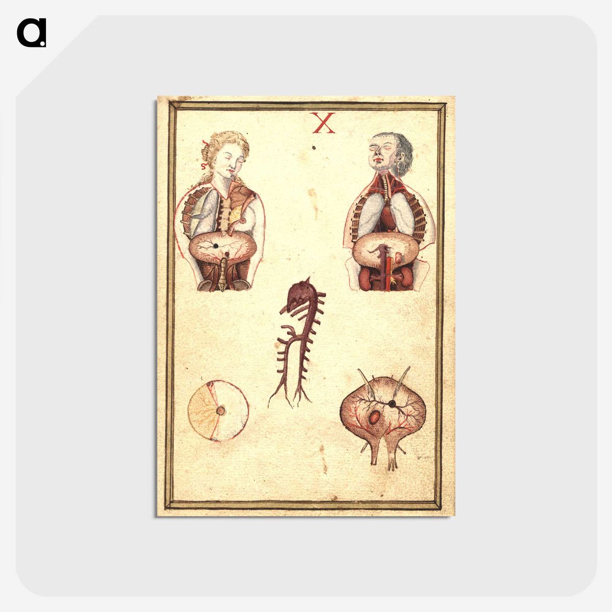 3-42_National-Library-of-Medicine_postcard
