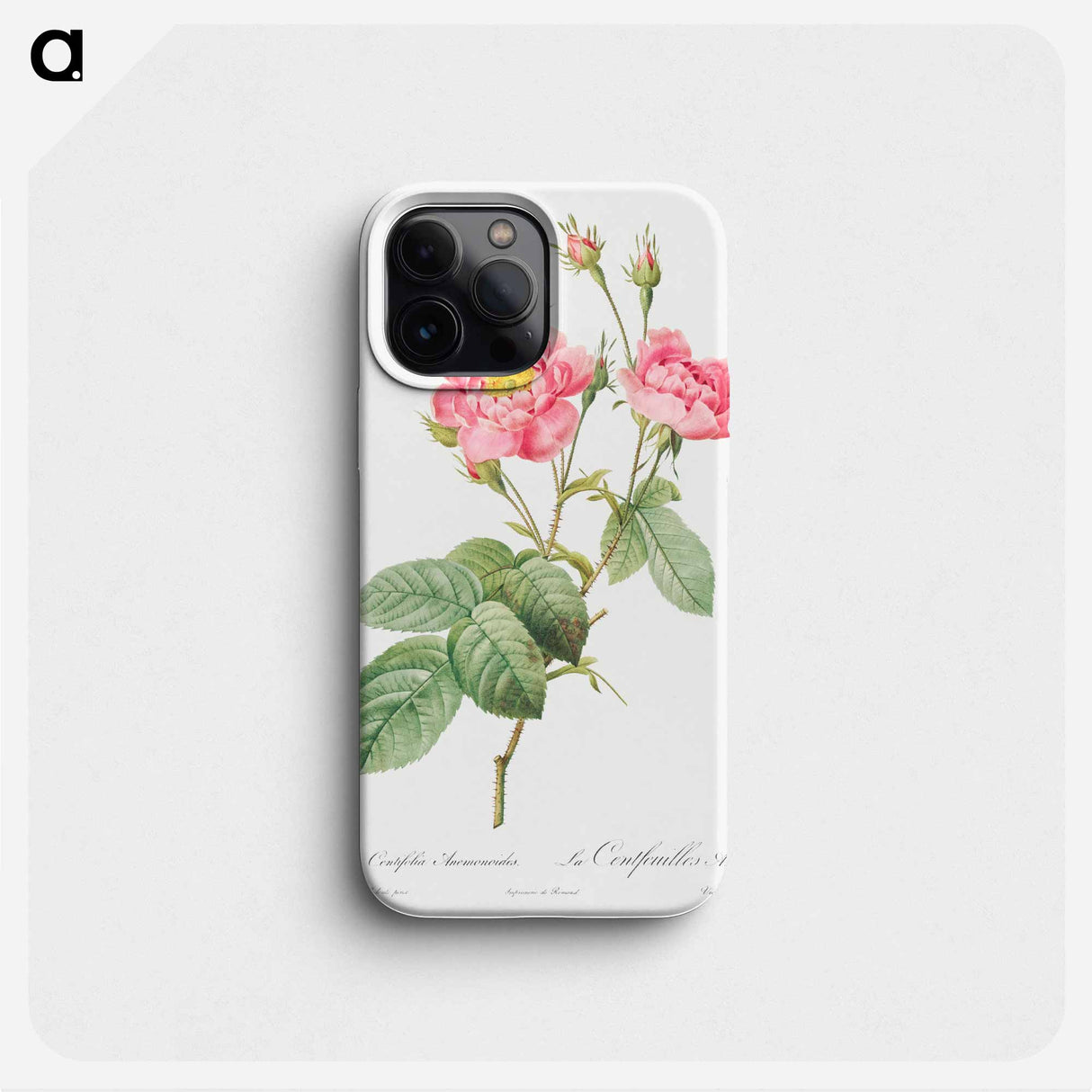 Rosa centifolia anemonoides - ピエール ジョゼフ ルドゥーテ Phone Case.