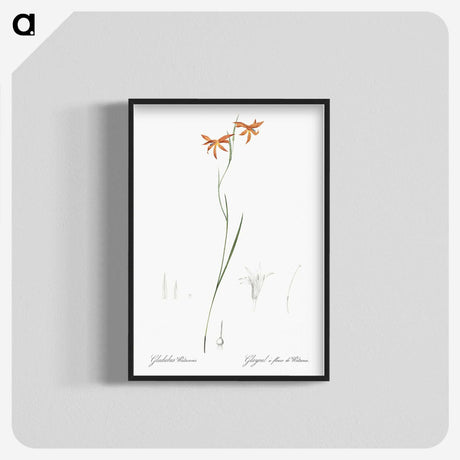 3-42_The-Lilies_blk-crop